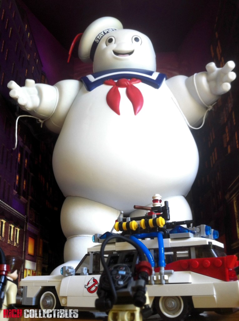 mattyspbirdseyelegoecto1close