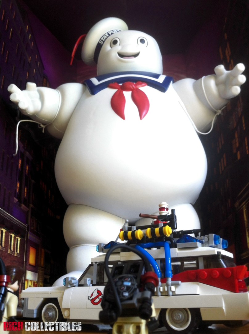 mattyspbirdseyelegoecto1close