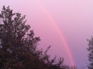 notadoublerainbow